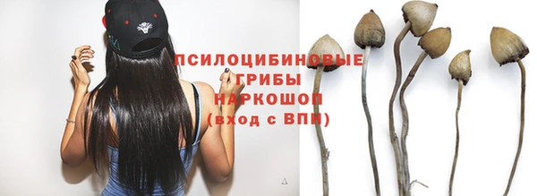 дмт Дмитриев