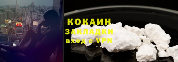 дмт Дмитриев