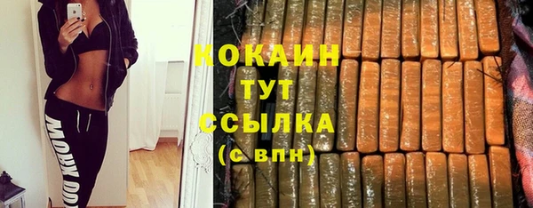 дмт Дмитриев