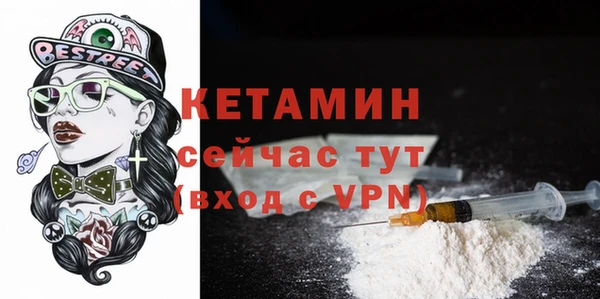 дмт Дмитриев