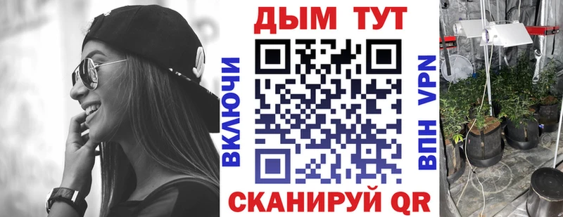 Купить где  Холм  МАРИХУАНА THC 21% 